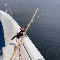 真鯛フカセ釣り