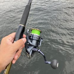 とにかくサバだらけ