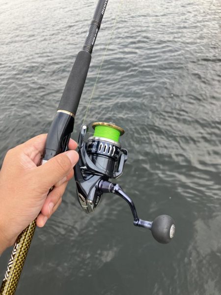 とにかくサバだらけ