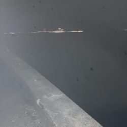 タチウオからのアオリイカ爆釣