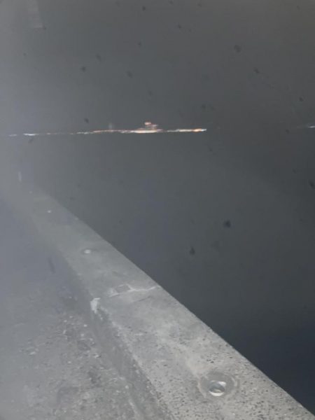 タチウオからのアオリイカ爆釣