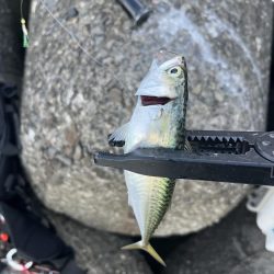 ブレードが強い