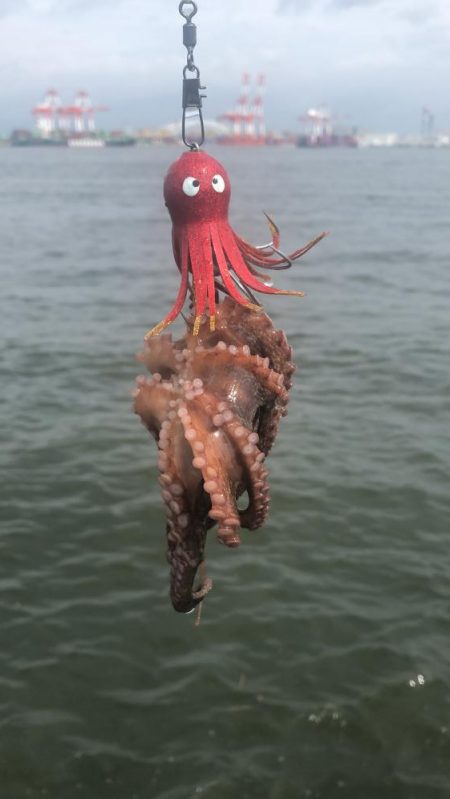 秋を感じるシーサイド