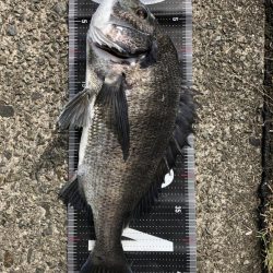 イチノ兄弟、釣果！