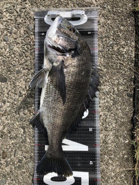 イチノ兄弟、釣果！