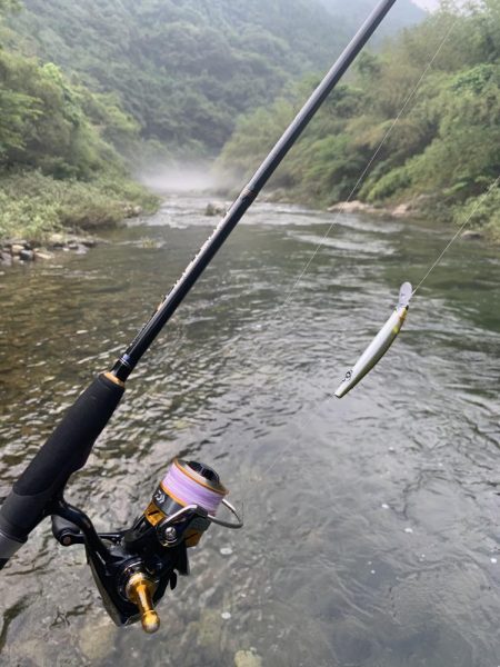 鮎イング>* ))))><