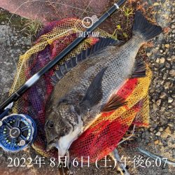 目印落とし込み