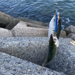 リベンジマッチがサバゲーに…