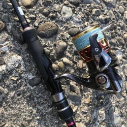 夕マズメのガシラゲーム