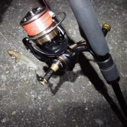 警戒心強すぎ…