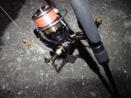 警戒心強すぎ…