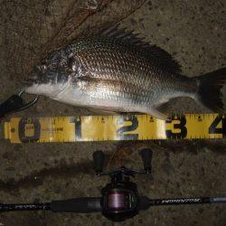 ベイトタックルでチニング