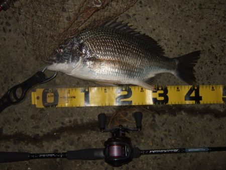 ベイトタックルでチニング