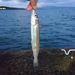 秋田のキスはデカい