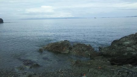 遠投マウスの実力