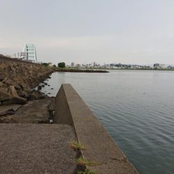 雨上がりのキャスティング