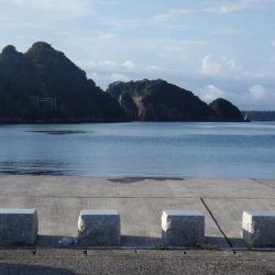 夜釣りも結局、サビキ、、、