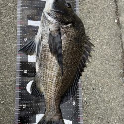 イチノ兄弟、釣果！