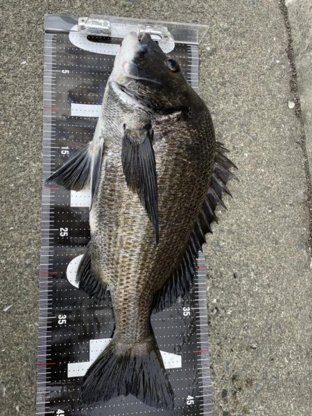 イチノ兄弟、釣果！