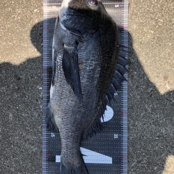 イチノ兄弟、釣果！