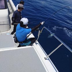 たかたかの釣り日記