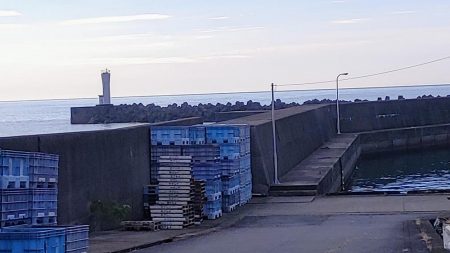 カマス沢山釣れた