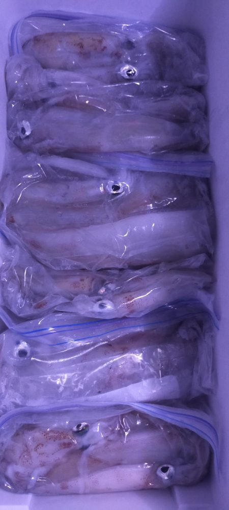 雷ゴロゴロ　イカぼちぼち