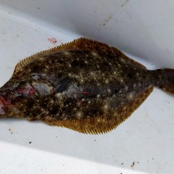 ジギング&キャスティング