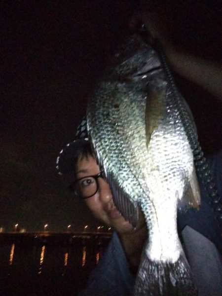 アジングロッドで