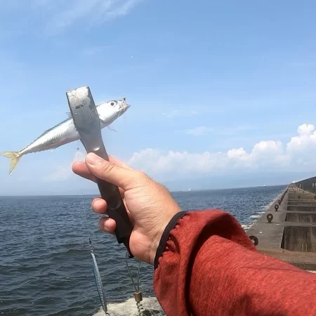 夢洲スリットへライトショアジギング