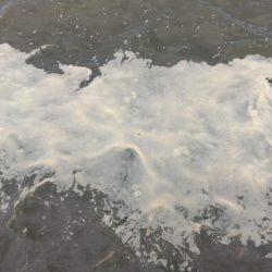 海の色がコーヒー牛乳