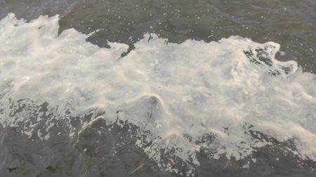 海の色がコーヒー牛乳