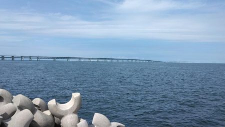 タコを求めて20時間