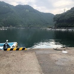 キジハタ・オオモンハタ・アジ