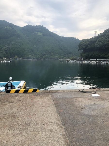 キジハタ・オオモンハタ・アジ