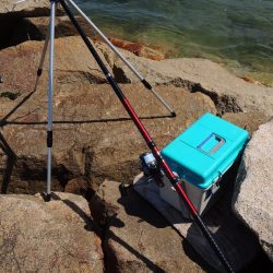 猛暑のキス釣り 網入れに降参