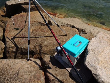 猛暑のキス釣り 網入れに降参