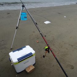 キス釣り チャリコとミニカワハギに苦戦