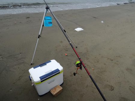 キス釣り チャリコとミニカワハギに苦戦