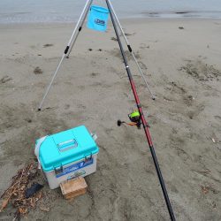 雨中のキス釣り