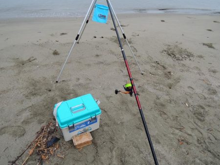 雨中のキス釣り
