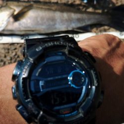 ぶらデイシーバス調査!!