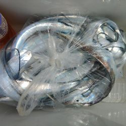 泉州丸 釣果