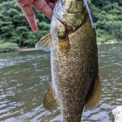 朝イチ トップ勝負