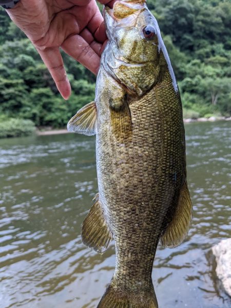 朝イチ トップ勝負