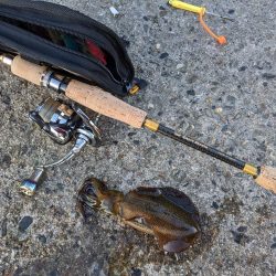 newロッド墨付け！