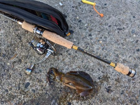 newロッド墨付け！