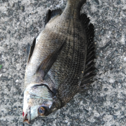 低酸素の中の年無しゲット