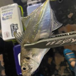 ボートアジング