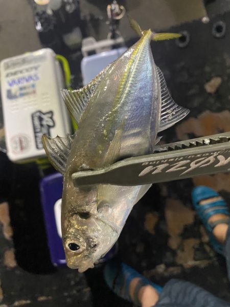 ボートアジング